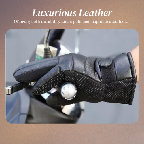 Falcon | Winter Gloves